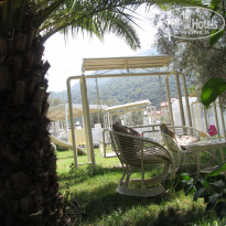 фото из отзыва ID 1379974