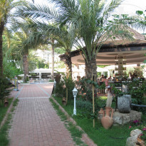 фото из отзыва ID 1379974