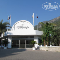 фото из отзыва ID 1379974