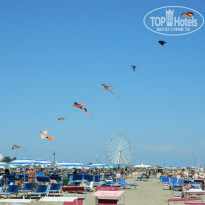 фото из отзыва ID 1379991