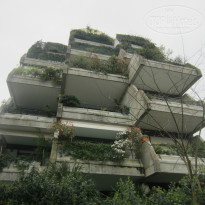 фото из отзыва ID 1373983