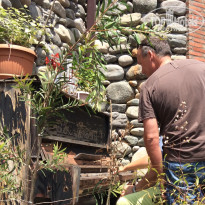 фото из отзыва ID 1374426