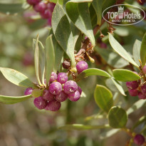 фото из отзыва ID 1375506