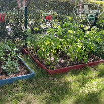 фото из отзыва ID 1376204