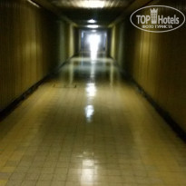 фото из отзыва ID 1375372