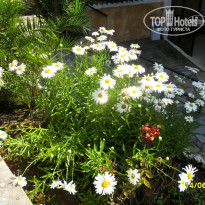 фото из отзыва ID 1374719