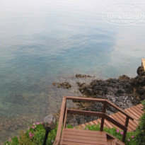 фото из отзыва ID 138421