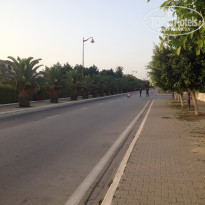 фото из отзыва ID 1380065