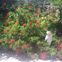 фото из отзыва ID 1380174