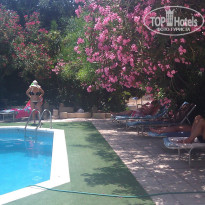 фото из отзыва ID 1380174