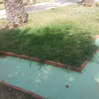 фото из отзыва ID 1380199