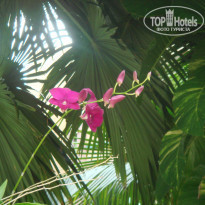 фото из отзыва ID 1380218