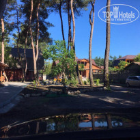 фото из отзыва ID 1380222