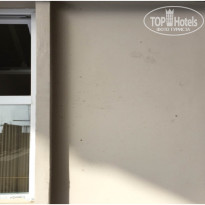 фото из отзыва ID 1380268