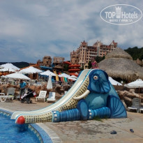 фото из отзыва ID 1380432