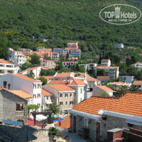 фото из отзыва ID 1380542