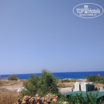 фото из отзыва ID 1380659