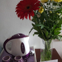 фото из отзыва ID 1380659