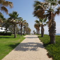 фото из отзыва ID 1380759