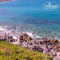 фото из отзыва ID 1380846