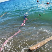 фото из отзыва ID 1380865