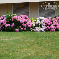 фото из отзыва ID 1380884