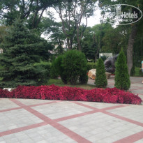 фото из отзыва ID 1380917