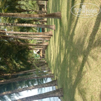 фото из отзыва ID 1381028