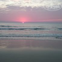 фото из отзыва ID 1381028