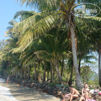 фото из отзыва ID 1381028