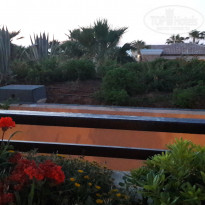 фото из отзыва ID 1381102