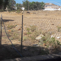 фото из отзыва ID 1381102