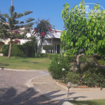 фото из отзыва ID 1381102