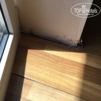 фото из отзыва ID 1381169