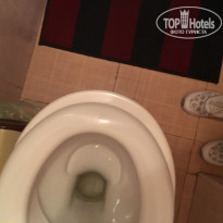 фото из отзыва ID 1381169