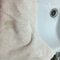 фото из отзыва ID 1381236