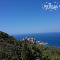 фото из отзыва ID 1381359