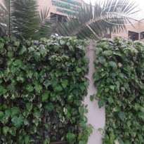 фото из отзыва ID 1381401