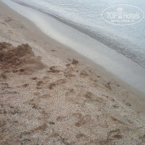 фото из отзыва ID 1381431