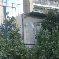 фото из отзыва ID 1381431