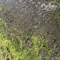 фото из отзыва ID 1381442