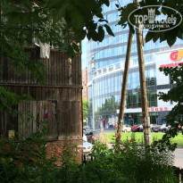 фото из отзыва ID 1381479