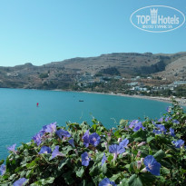 фото из отзыва ID 1381516