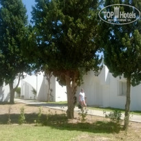 фото из отзыва ID 1380818