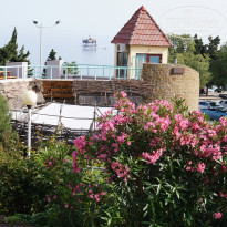 фото из отзыва ID 1381581