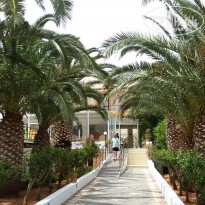 фото из отзыва ID 1381604