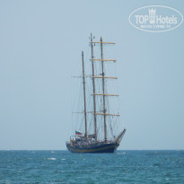 фото из отзыва ID 1381612