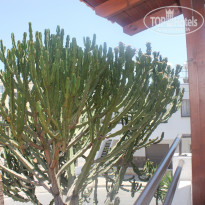 фото из отзыва ID 1381707