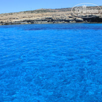 фото из отзыва ID 1381707