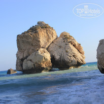 фото из отзыва ID 1381707